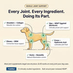 Elko Premium Joint Health Chews - Improved Formula