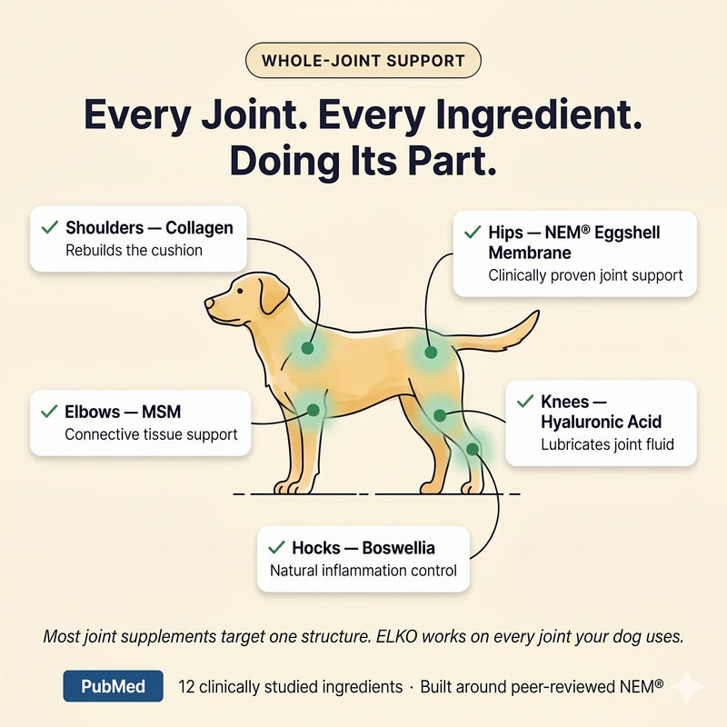 Elko Premium Joint Health Chews - Improved Formula