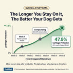 Elko Premium Joint Health Chews - Improved Formula